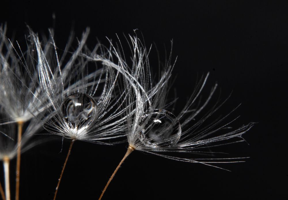 Photograph by Дмитрий Костяков