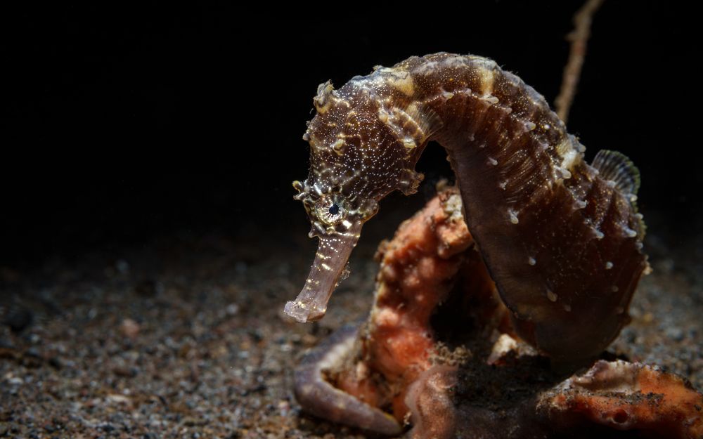 Photograph by Савин Андрей