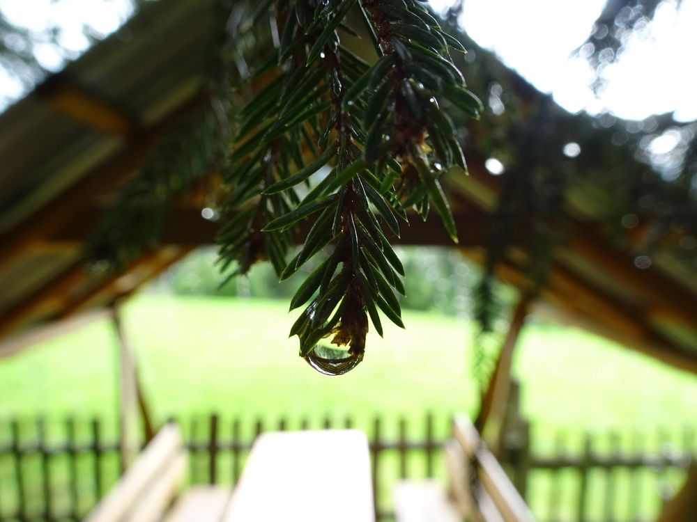 Photograph by Мила Милая