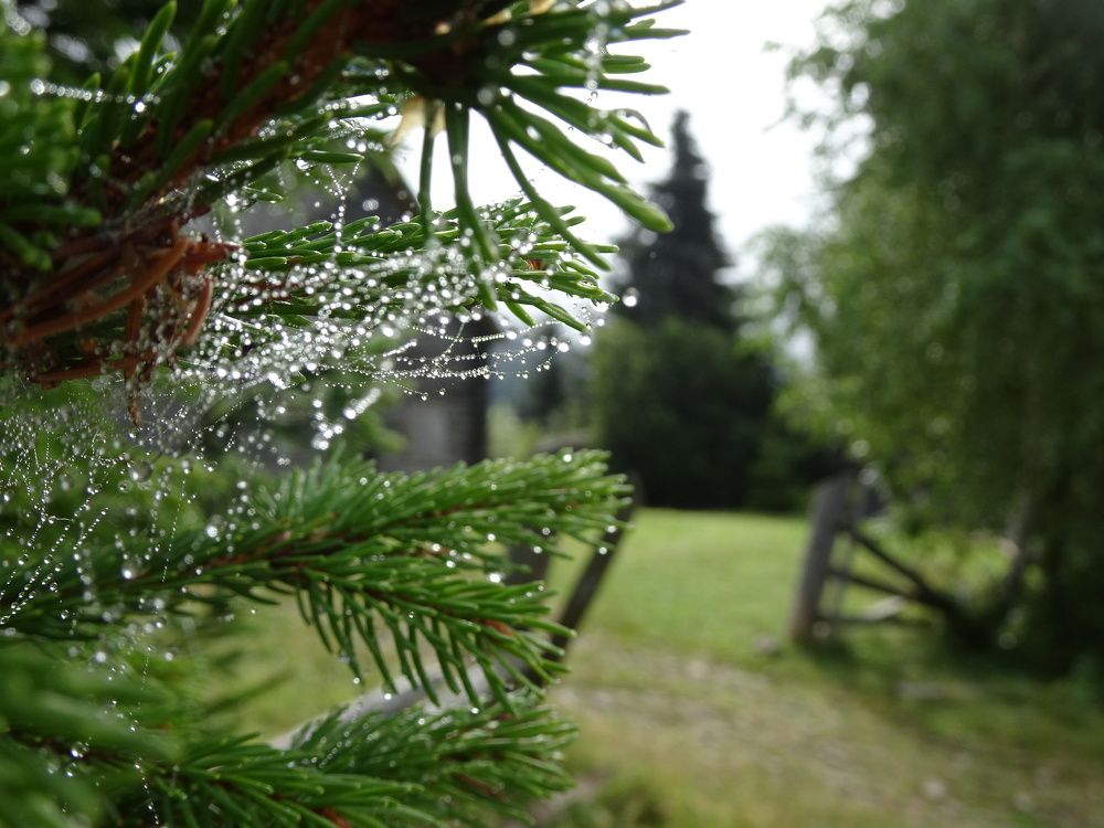 Photograph by Мила Милая