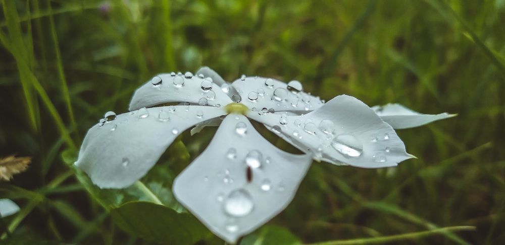 Photograph by Yogarajah Jathumilan