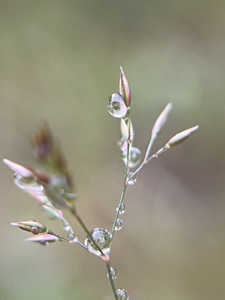 Photograph by Татьяна Михайловна