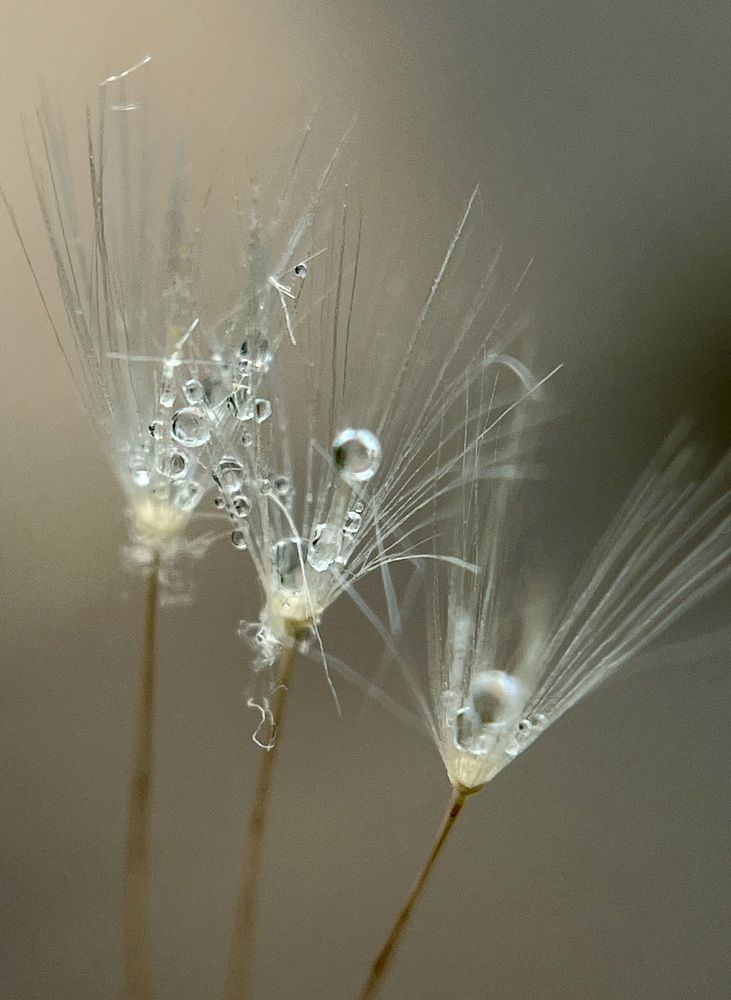 Photograph by Татьяна Михайловна