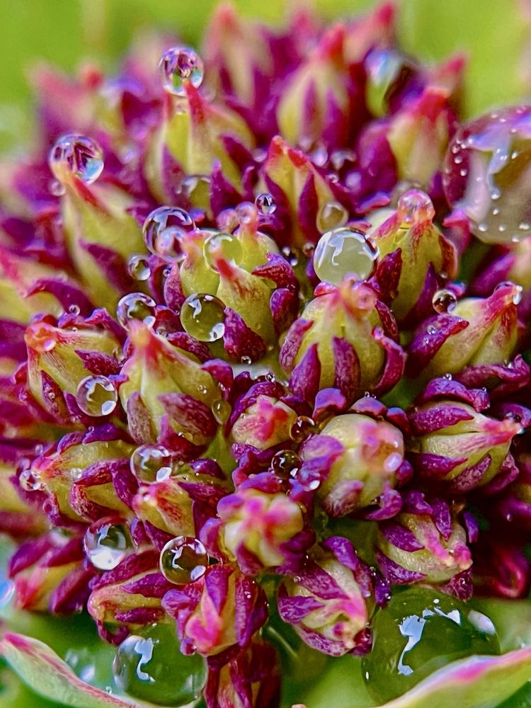 Photograph by Татьяна Михайловна