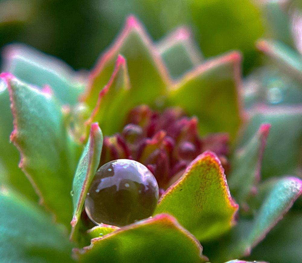 Photograph by Татьяна Михайловна