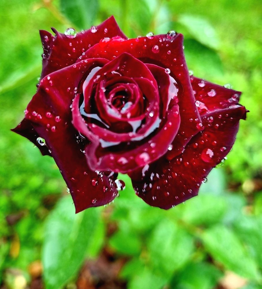 Photograph by Максим Иванов