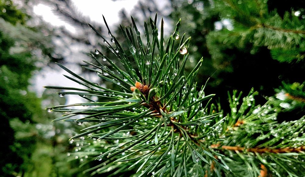 Photograph by Максим Иванов