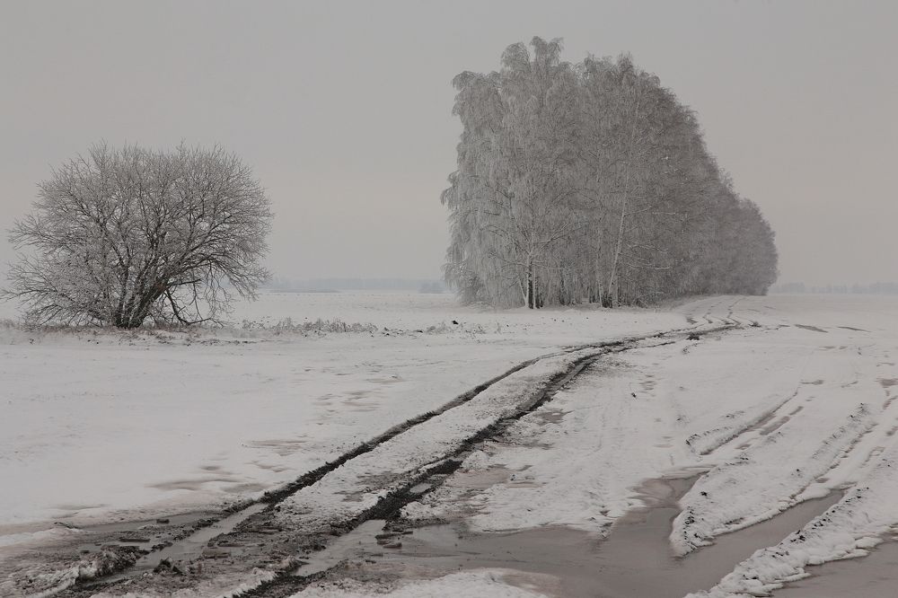 Фотография автора Александр Кожевников
