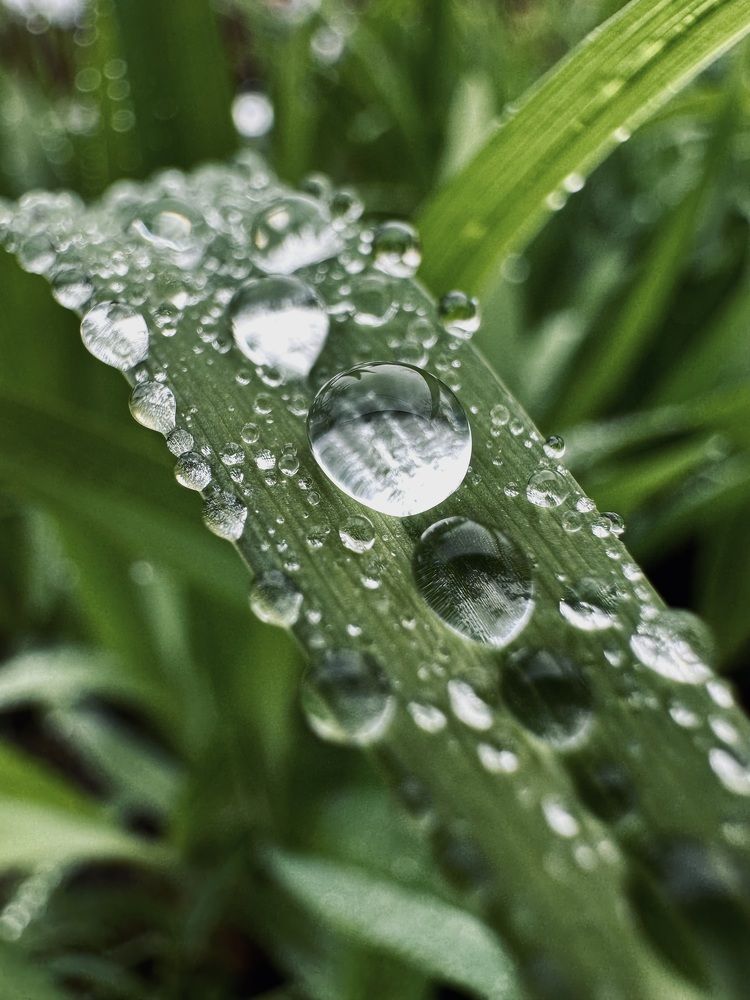 Photograph by Диана Бадеева