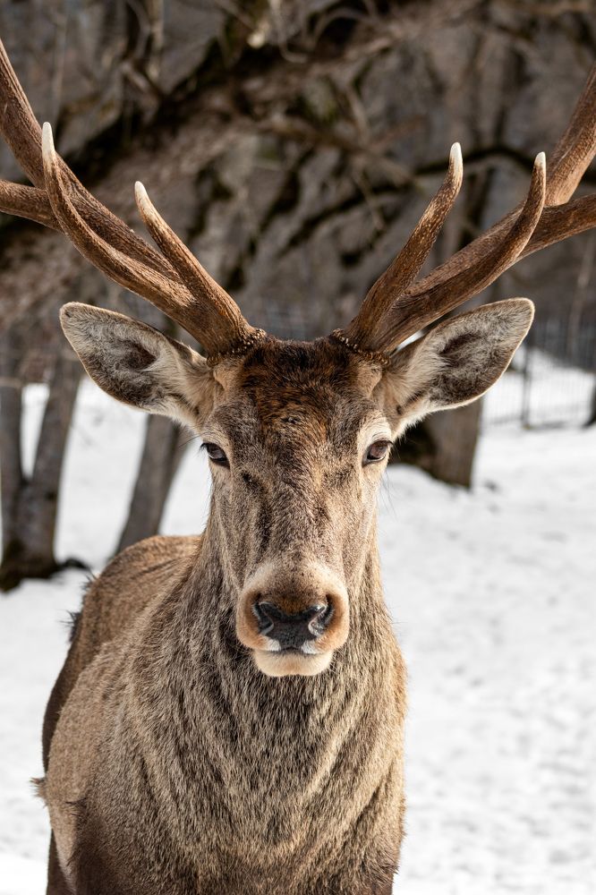 Photograph by Дмитрий Костяков