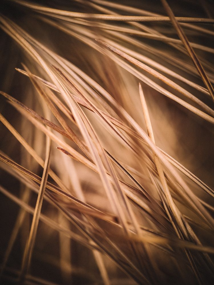 Photograph by Виктория Фирсова