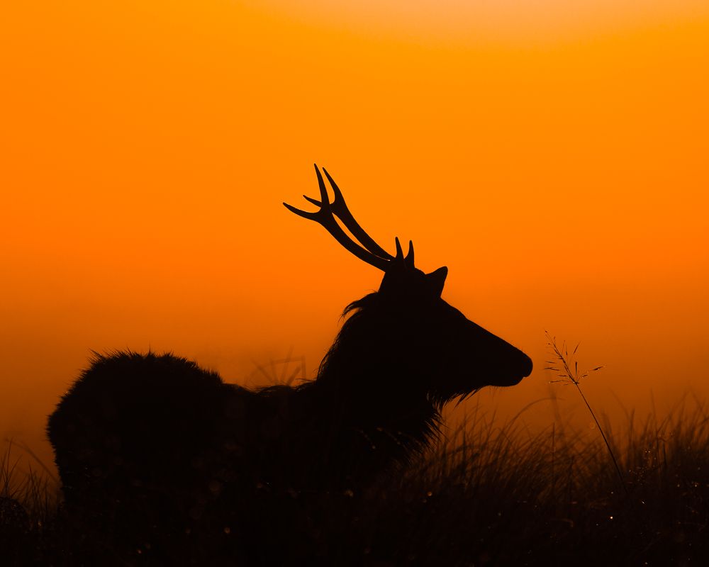 Фотография автора Raoul Rutnam