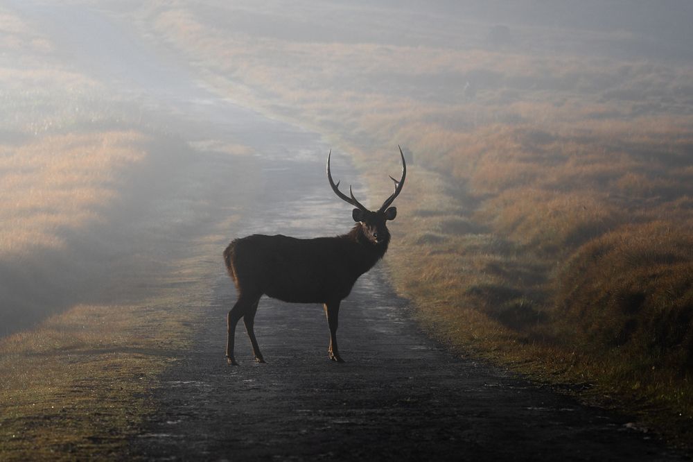 Фотография автора Raoul Rutnam