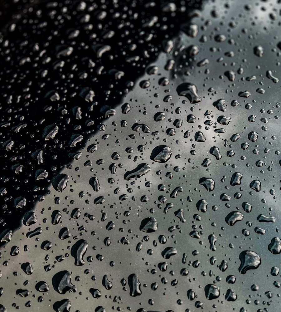 Photograph by Мария Бурик