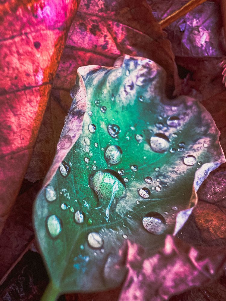 Photograph by Мария Бурик