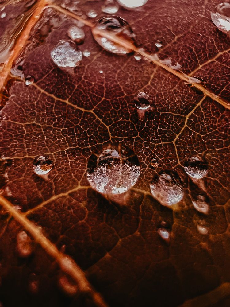 Photograph by Мария Бурик