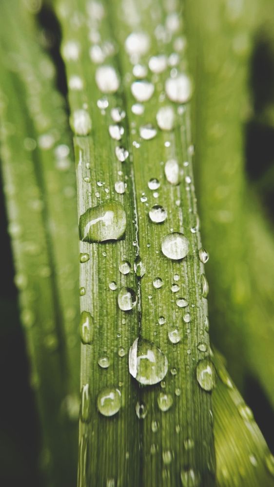 Фотография автора Анна Морозова