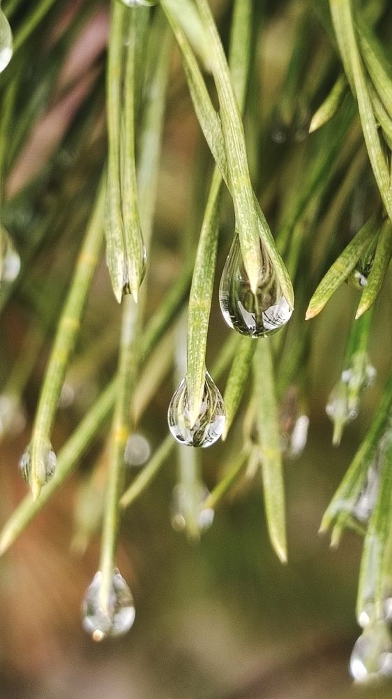 Фотография автора Анна Морозова