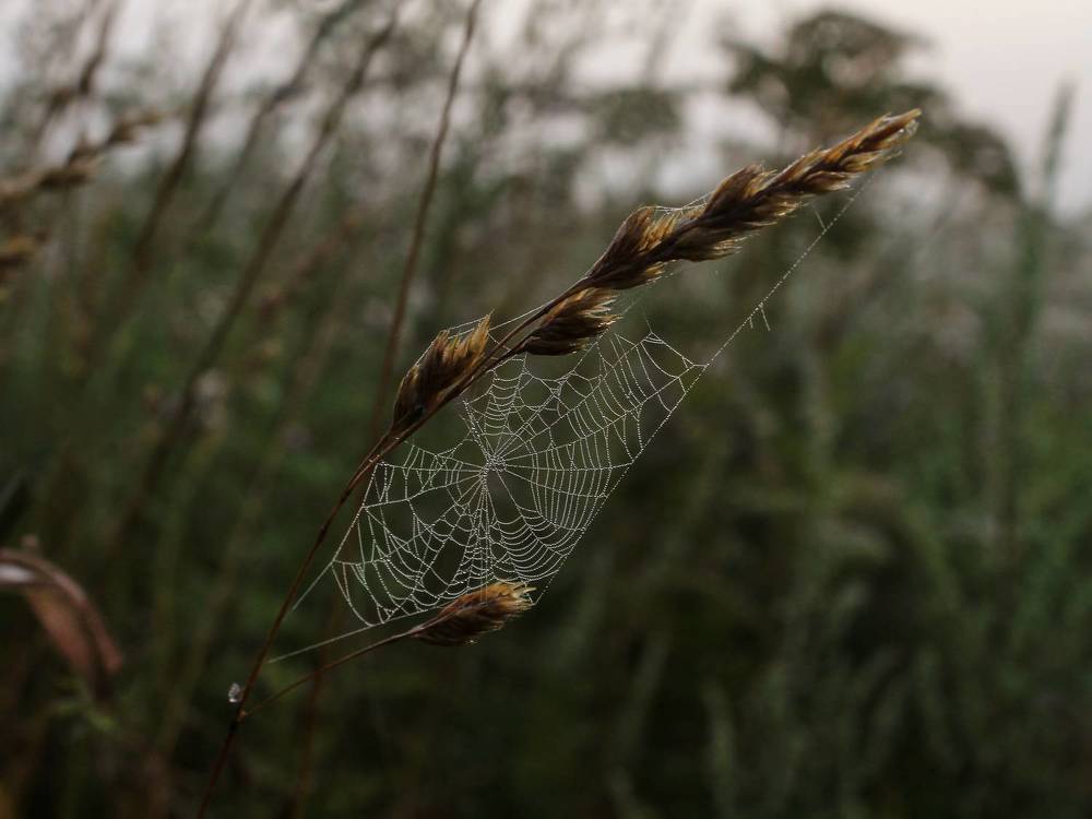 Photograph by Юркин Егор