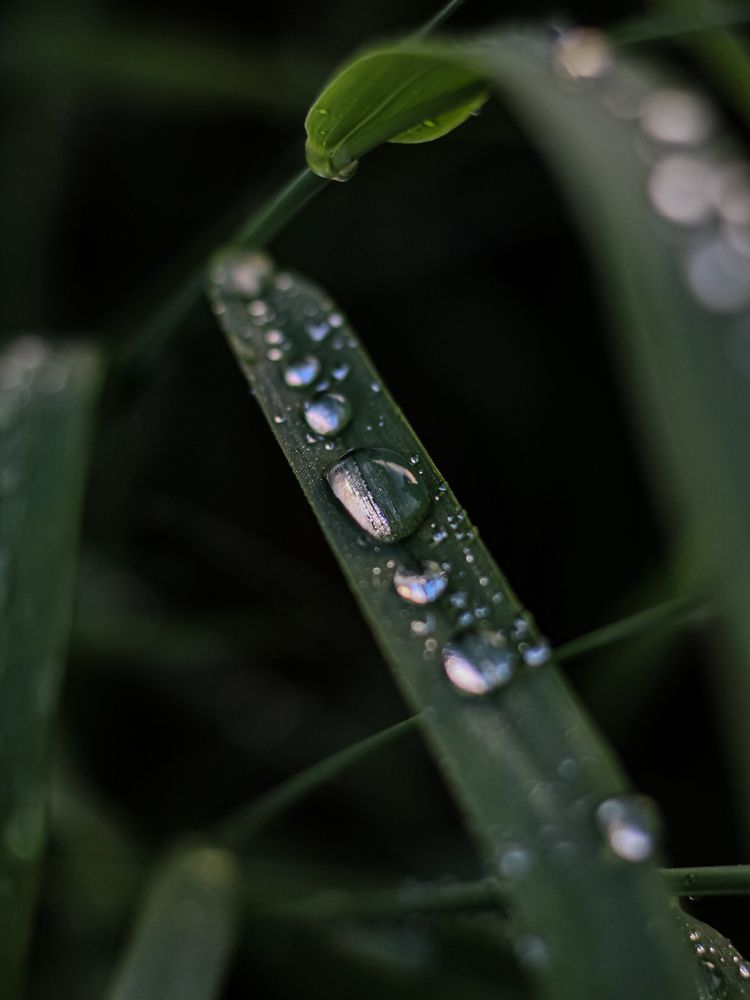 Photograph by Юркин Егор