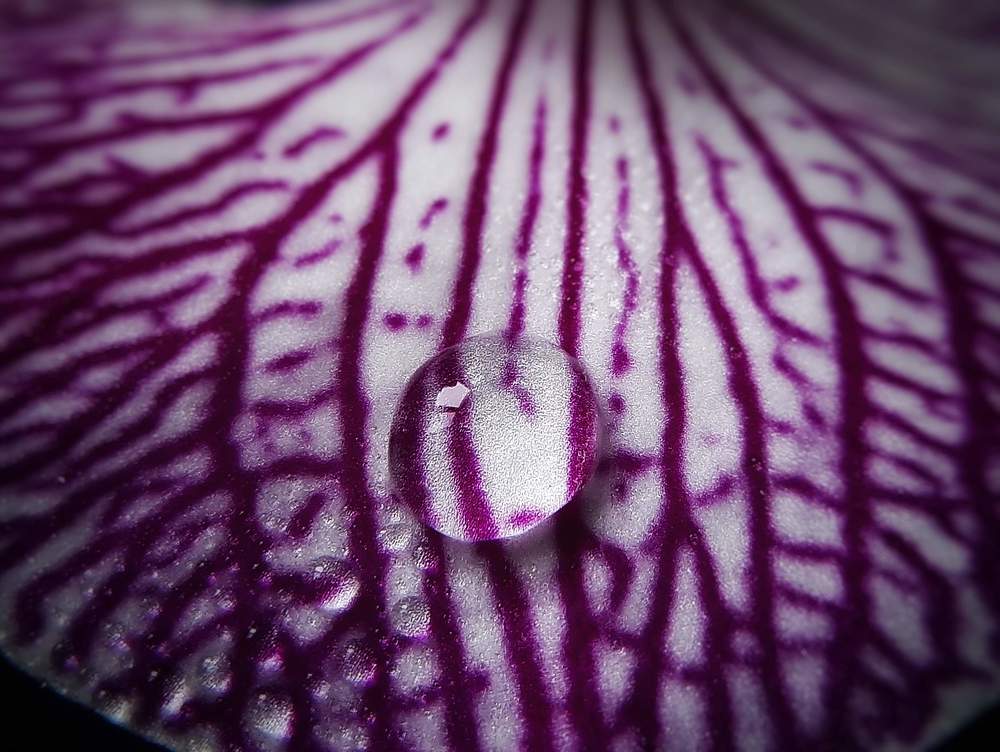 Photograph by Кристина Панченко