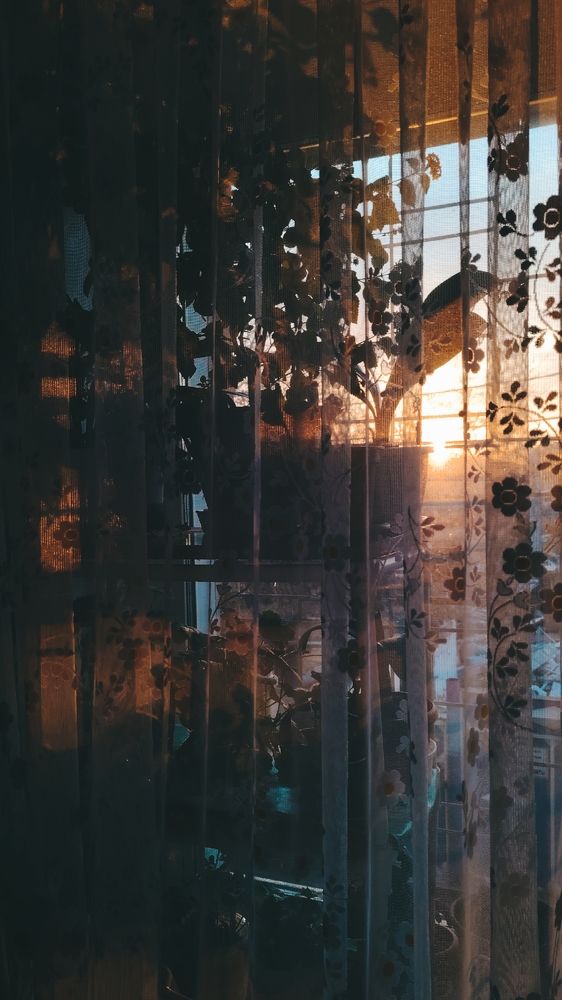 Фотография автора Анна Морозова