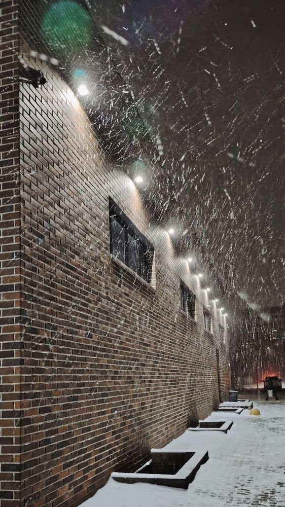 Фотография автора Анна Морозова