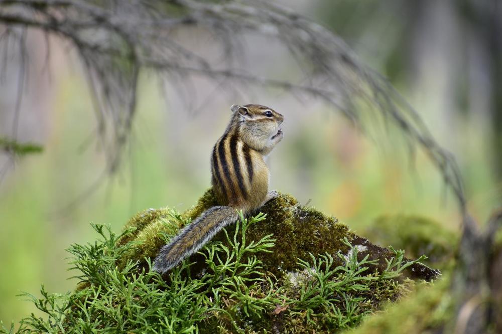 Photograph by Irina Luidinshina