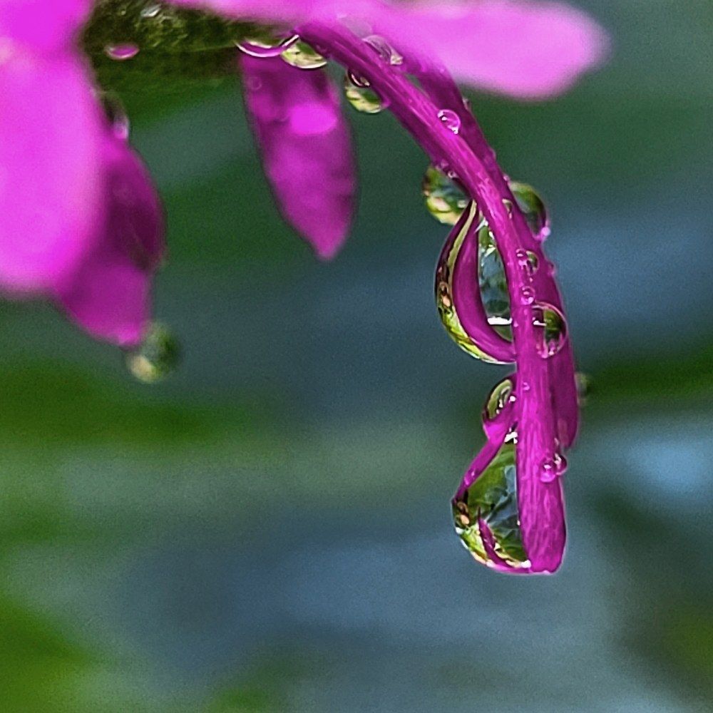 Photograph by Catherine Walter-Prêtre