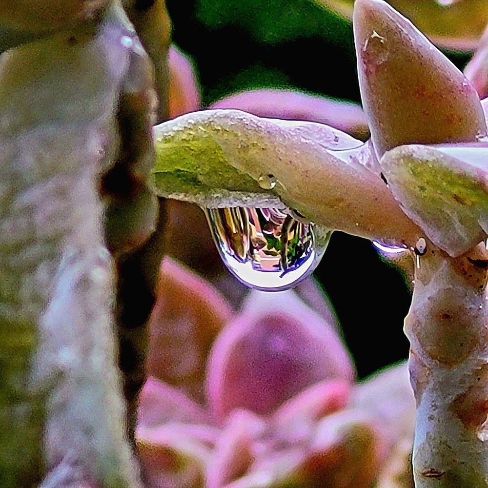 Photograph by Catherine Walter-Prêtre