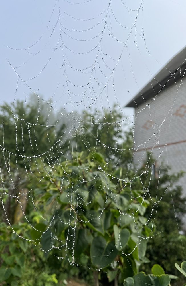 Photograph by Анастасия Стасевич