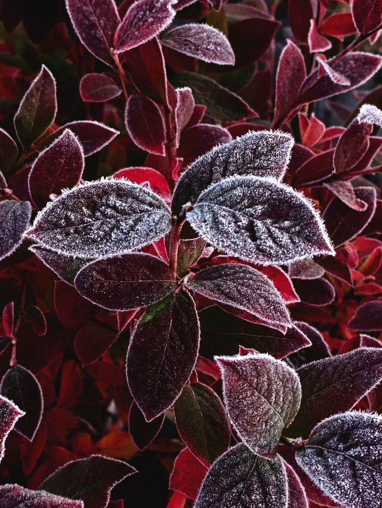 Photograph by Светлана Таркан