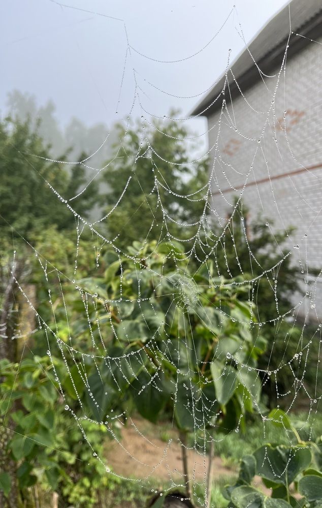 Photograph by Анастасия Стасевич