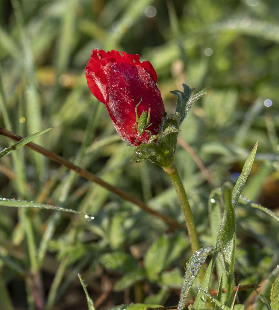 Photograph by Валентина Лопаткина