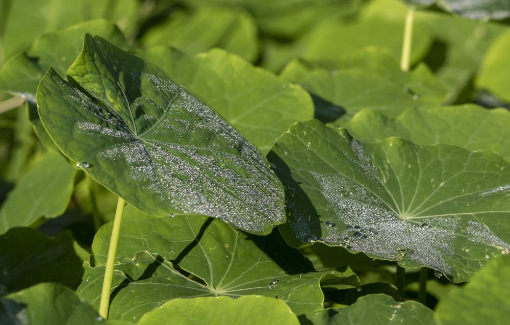 Photograph by Валентина Лопаткина