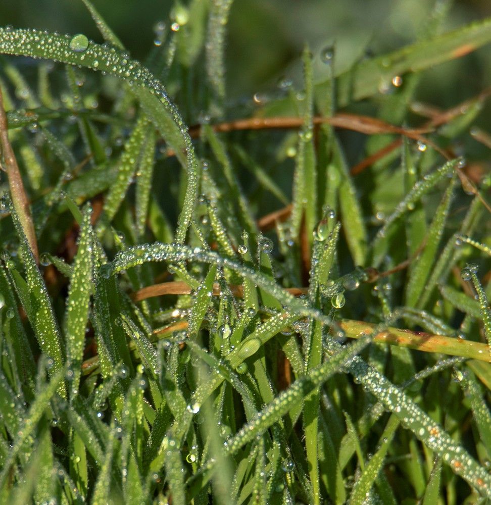 Photograph by Валентина Лопаткина