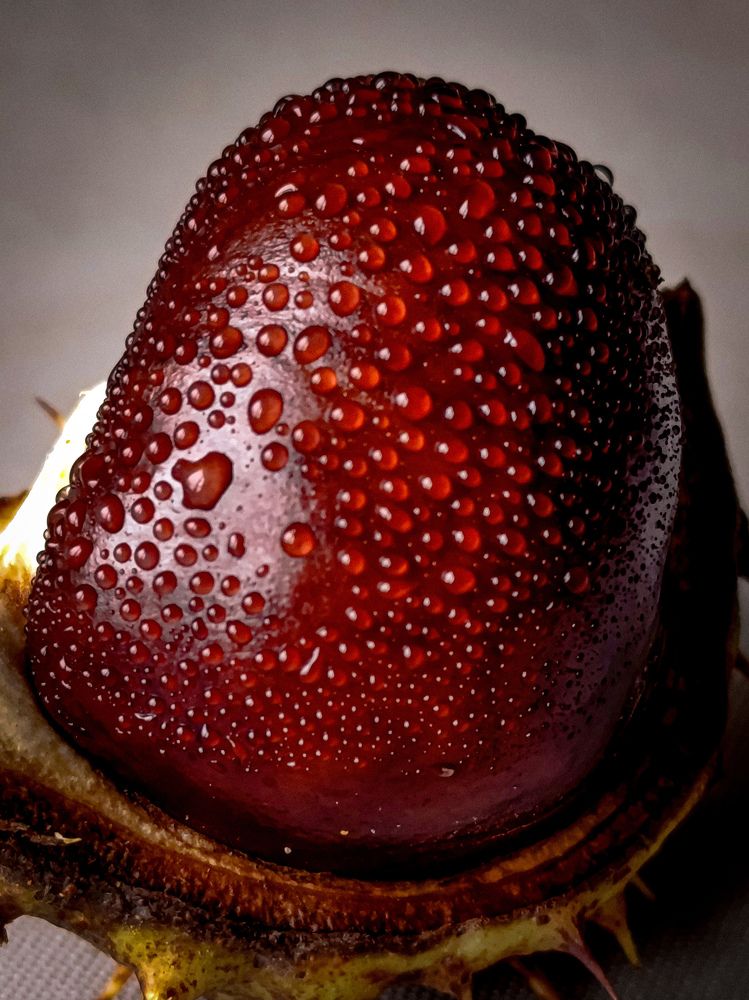 Photograph by Светлана Таркан