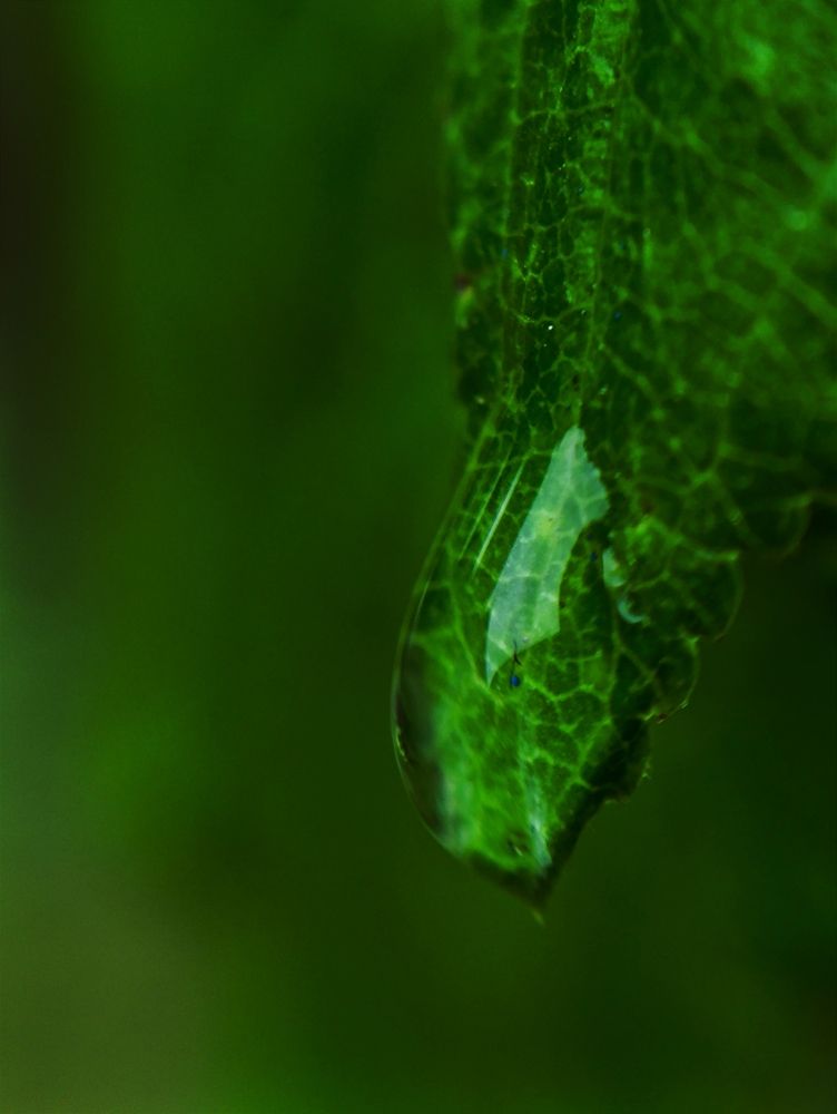 Photograph by Светлана Таркан