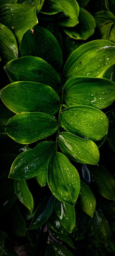 Photograph by Ekaterina