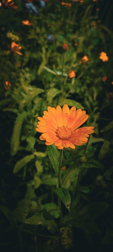 Photograph by Ekaterina