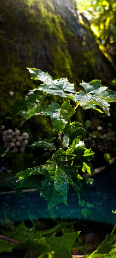 Photograph by Ekaterina