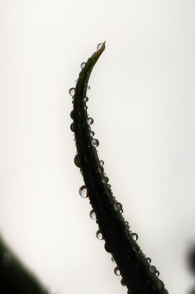 Photograph by Yuliya Karpova