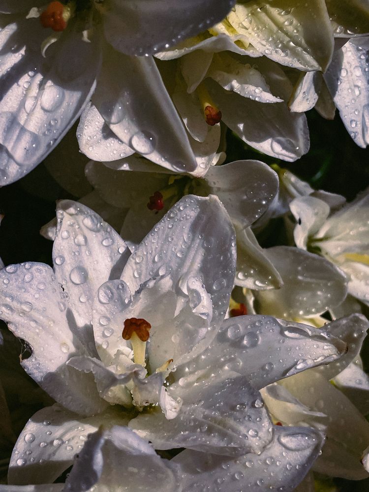 Photograph by Ляйсан Саляхиева