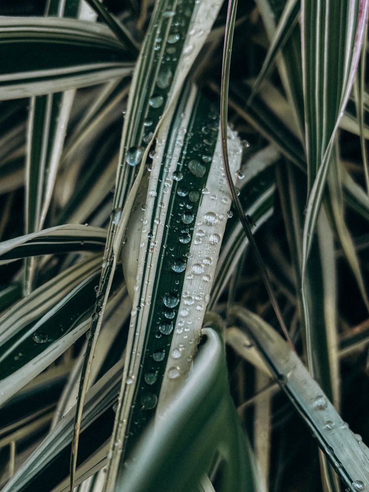 Photograph by Ляйсан Саляхиева