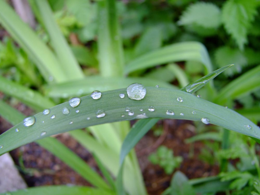 Photograph by Cengiz Yalcin