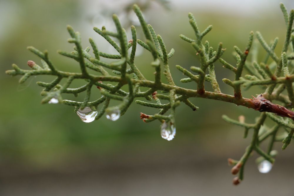 Photograph by Cengiz Yalcin