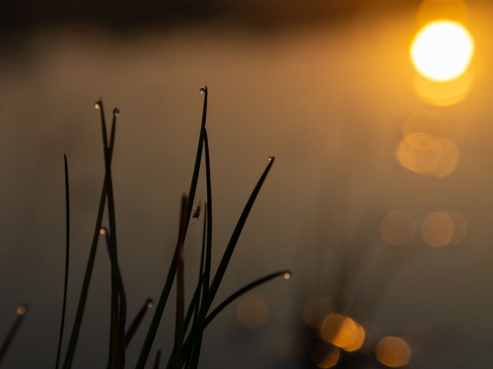 Photograph by Олег Бережных