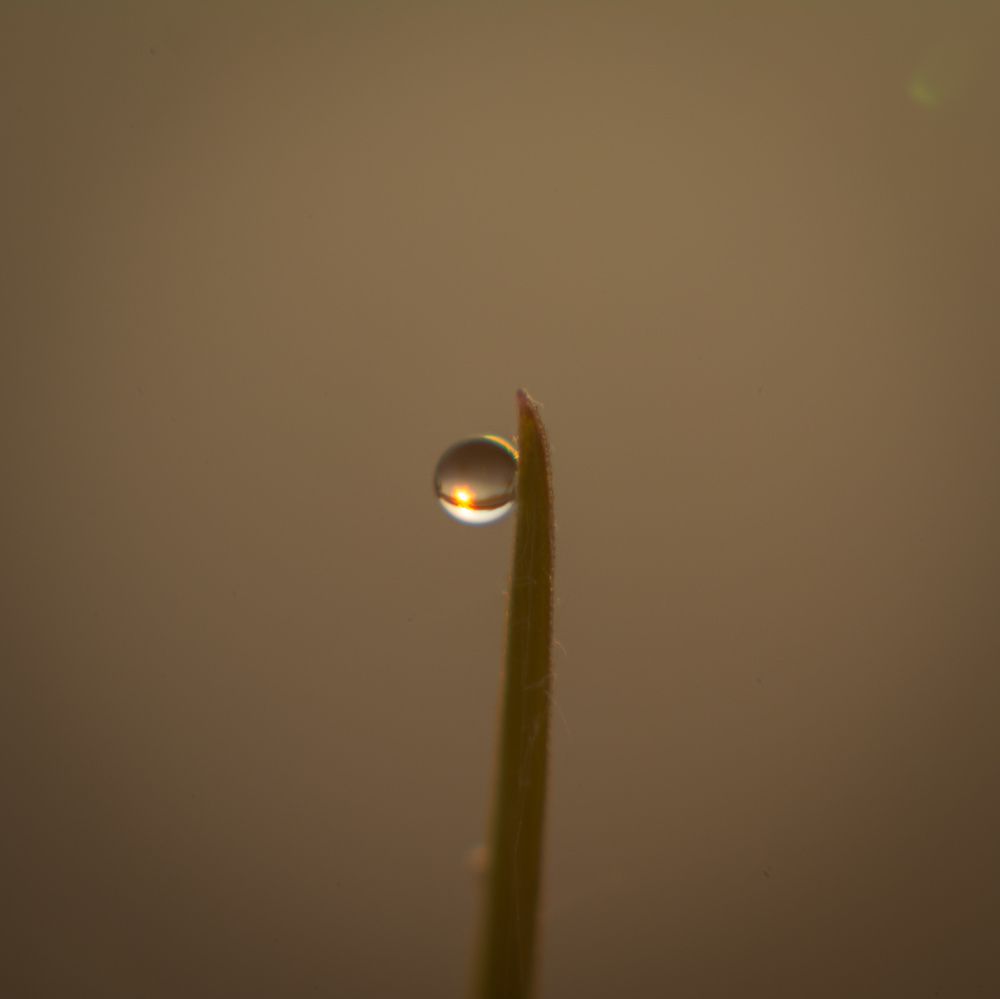 Photograph by Олег Бережных