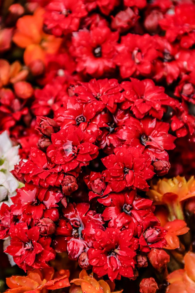 Photograph by Аня Косс