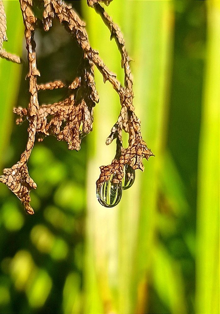 Photograph by Ольга Тихонова